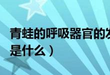 青蛙的呼吸器官的发育情况（青蛙的呼吸器官是什么）
