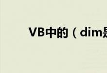 VB中的（dim是什么意思了`` 急`）
