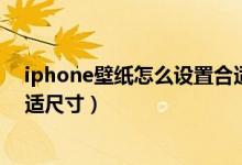 iphone壁纸怎么设置合适大小（苹果手机壁纸怎么设置合适尺寸）