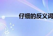 仔细的反义词（仔细的反义词）