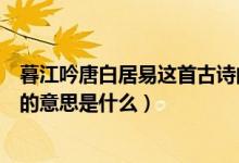 暮江吟唐白居易这首古诗的意思是什么（暮江吟白居易古诗的意思是什么）