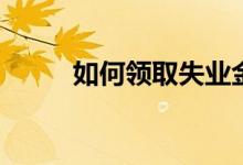 如何领取失业金 如何计算失业金 