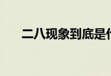 二八现象到底是什么意思（二八现象）