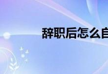 辞职后怎么自己缴纳养老保险