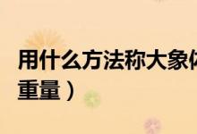 用什么方法称大象体重（用什么方法称大象的重量）