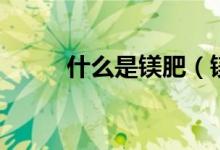 什么是镁肥（镁肥有什么作用呢）