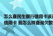 怎么查民生银行信用卡该还多少钱 我申请了一张民生银行的信用卡 我怎么样查询欠款情况呢