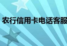农行信用卡电话客服电话（农行信用卡电话）
