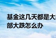 基金这几天都是大跌怎么办 市场不好基金全部大跌怎么办