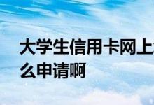 大学生信用卡网上怎么申请 大学生信用卡怎么申请啊