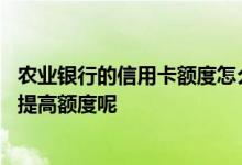 农业银行的信用卡额度怎么提高 中国农业银行的信用卡怎么提高额度呢