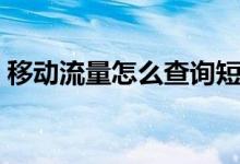 移动流量怎么查询短信（移动流量怎么查询）