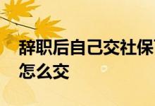 辞职后自己交社保可以么 辞职后自己交社保怎么交