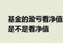 基金的盈亏看净值还是看估值 股票基金盈亏是不是看净值