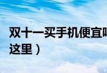 双十一买手机便宜吗（网购手机的注意事项在这里）