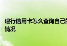 建行信用卡怎么查询自己的账单 怎么查询建行信用卡的账单情况