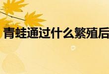 青蛙通过什么繁殖后代（青蛙通过什么呼吸）