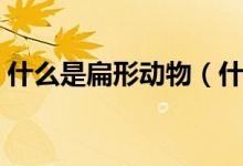 什么是扁形动物（什么是扁形动物（图文））