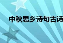 中秋思乡诗句古诗（中秋思乡诗句大全）