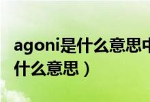 agoni是什么意思中文翻译怎么读（Agoni是什么意思）