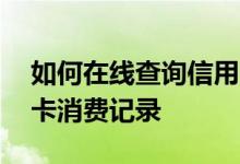如何在线查询信用卡消费记录 如何查询信用卡消费记录
