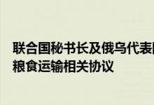 联合国秘书长及俄乌代表团陆续抵达土耳其将共同签署黑海粮食运输相关协议