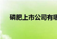 磷肥上市公司有哪些磷肥上市公司名单
