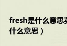 fresh是什么意思英语翻译成中文（fresh是什么意思）