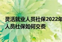 灵活就业人员社保2022年缴费基数是多少 2022年灵活就业人员社保如何交费 