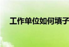 工作单位如何填子女（工作单位如何填）