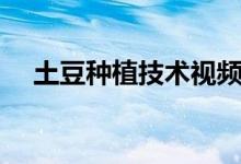 土豆种植技术视频在线（土豆种植技术）