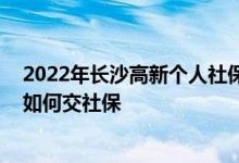 2022年长沙高新个人社保一个月要交多少钱 长沙高新自己如何交社保 