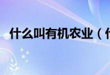 什么叫有机农业（什么叫有机物（图文））
