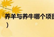 养羊与养牛哪个项目好（养羊与养牛哪个赚钱）