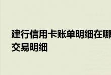 建行信用卡账单明细在哪查询 建行信用卡账单 是否能查询交易明细