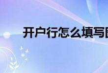 开户行怎么填写图片 开户行怎么填写