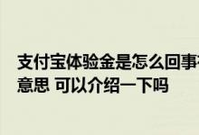 支付宝体验金是怎么回事有风险吗 支付宝3天体验金是什么意思 可以介绍一下吗