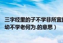 三字经里的子不学非所宜的意思（三字经中的子不学非所宜.幼不学老何为.的意思）