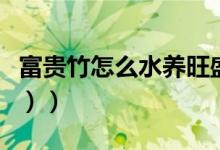 富贵竹怎么水养旺盛（富贵竹怎么水养（图文））