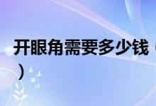 开眼角需要多少钱（开眼角对眼睛伤害大不大）