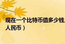 现在一个比特币值多少钱人民币（一个比特币大概价值多少人民币）