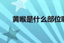 黄喉是什么部位啊（黄喉是什么部位）