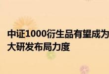 中证1000衍生品有望成为量化策略新发力点头部量化机构加大研发布局力度