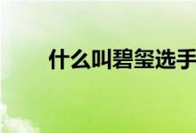 什么叫碧玺选手（什么叫碧潭飘雪）
