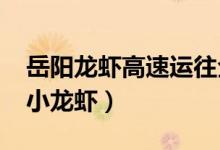 岳阳龙虾高速运往全国（每天运送2000万只小龙虾）