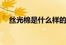 丝光棉是什么样的（丝光棉是什么料子）