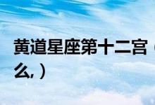 黄道星座第十二宫（星座中的黄道十二宫是什么,）