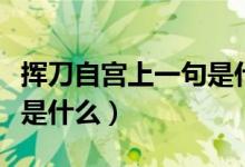 挥刀自宫上一句是什么（挥刀自宫的真正意思是什么）