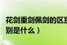 花剑重剑佩剑的区别图片（花剑重剑佩剑的区别是什么）