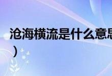 沧海横流是什么意思啊（沧海横流是什么意思）